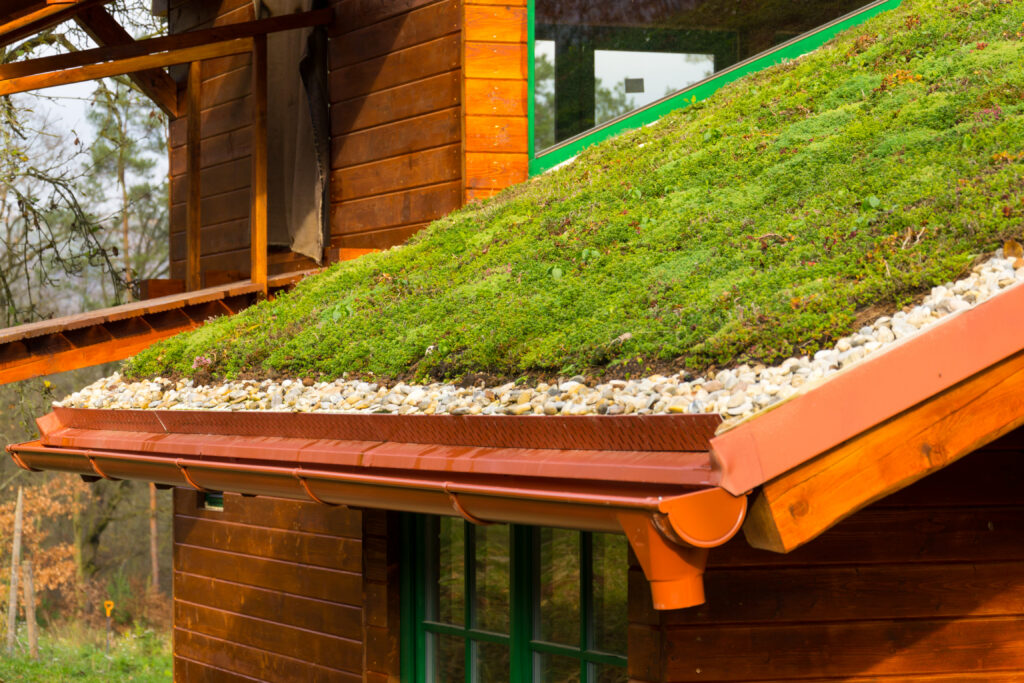 Living Roof Explained: The Complete and Smart Way to Green Your Rooftop in Ventura County