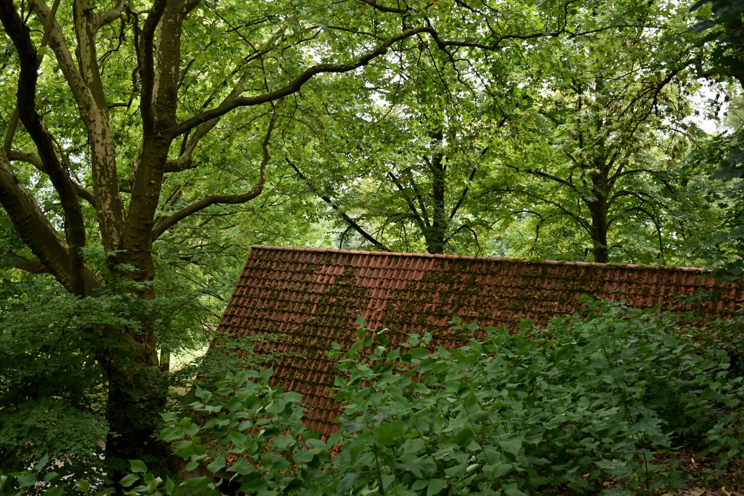 Roof Noises in Ventura County: The Complete Guide to Identifying and Avoiding Costly Damage