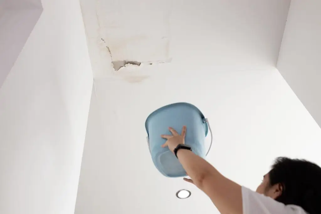 Roof Leak Repair: The Complete Guide to Signs, Causes & What It Really Costs in 2025