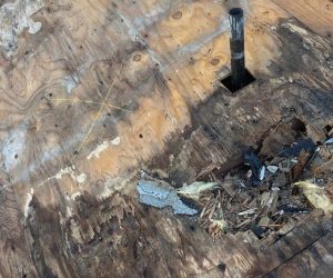 Water-damaged roof decking exposed during a professional roof leak repair inspection in Southern California