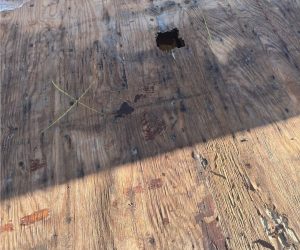 Roof decking with exposed hole and moisture damage requiring professional roof leak repair in Southern California