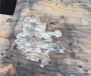 Roof decking with visible water stains and rot caused by an active roof leak in a Southern California home